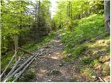 Bistriška planina - Koča na Dobrči